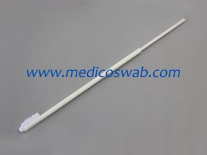 oral sampling swab (sampling brush)