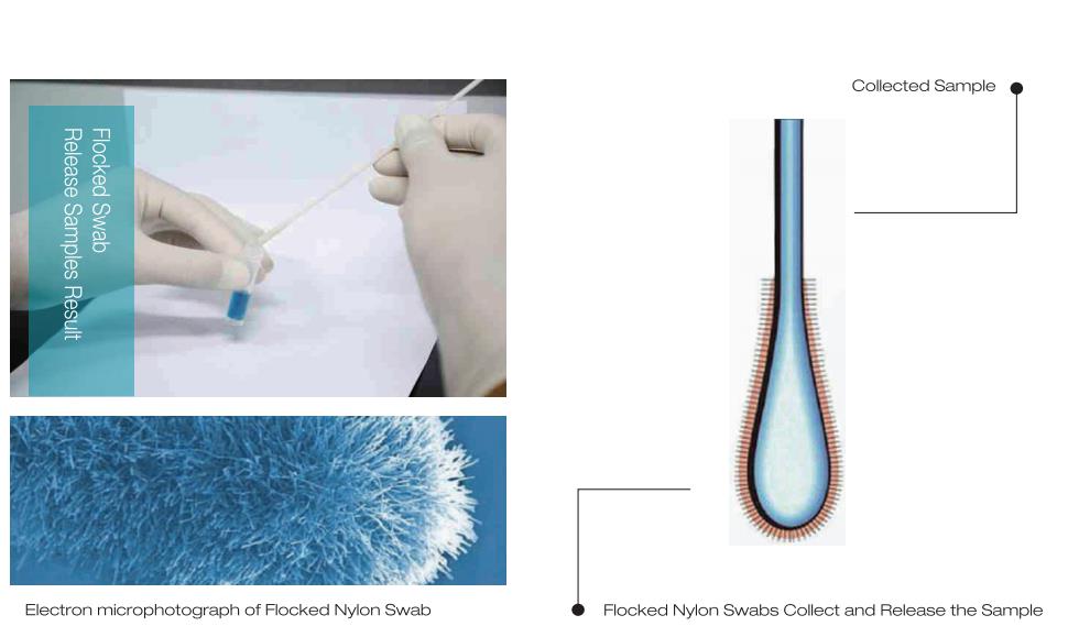 Avantages de l'écouvillon floqué MEDICO(1)