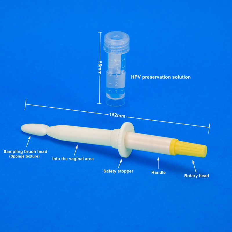 Écouvillon de collecte d'échantillons stérile jetable avec tube - »IZ