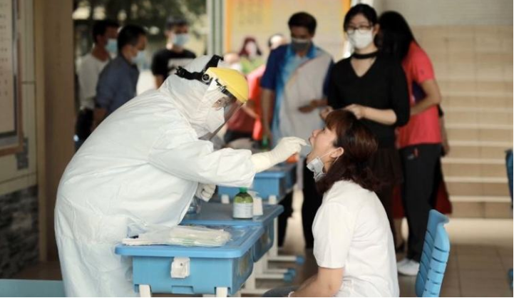 Compreendendo o Staphylococcus Aureus: Uma infecção bacteriana comum - GENE  MEIDIKE