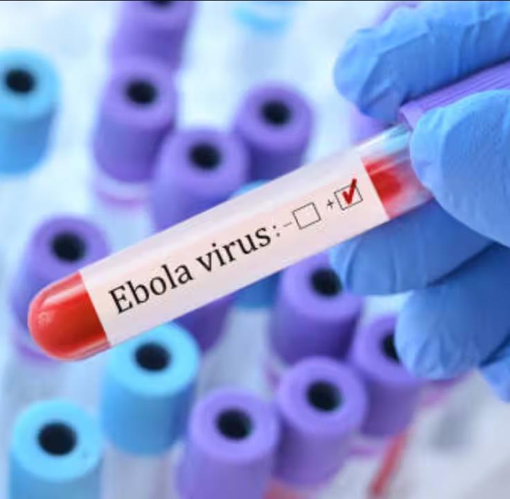 Ebola Virus Detection